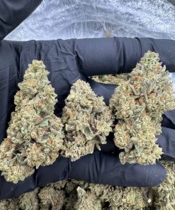 Thin Mintz Strain