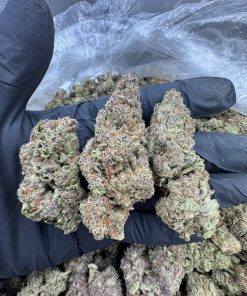 Trop Cherry Strain